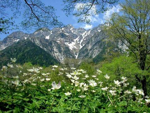 春の上高地